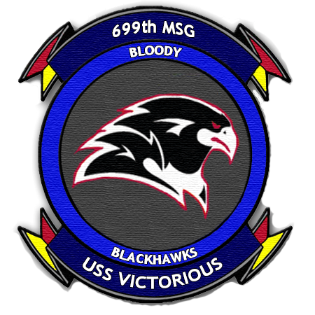 699th Logo