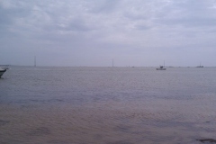 2011_1_2