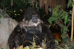 2011_7_30